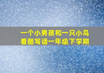 一个小男孩和一只小鸟看图写话一年级下学期