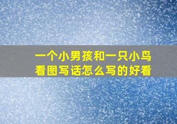 一个小男孩和一只小鸟看图写话怎么写的好看