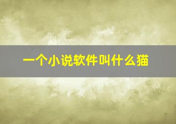 一个小说软件叫什么猫