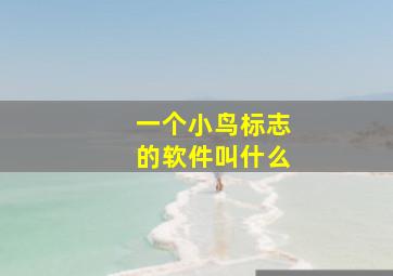 一个小鸟标志的软件叫什么