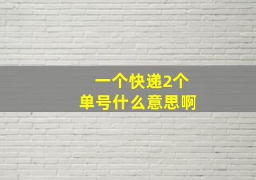 一个快递2个单号什么意思啊