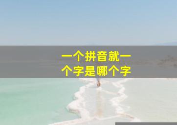 一个拼音就一个字是哪个字