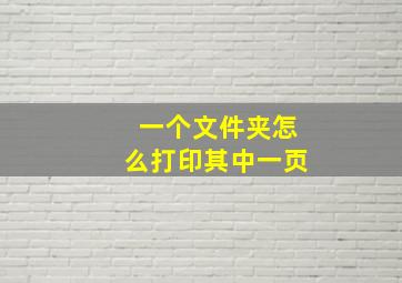 一个文件夹怎么打印其中一页