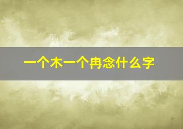 一个木一个冉念什么字