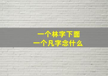 一个林字下面一个凡字念什么