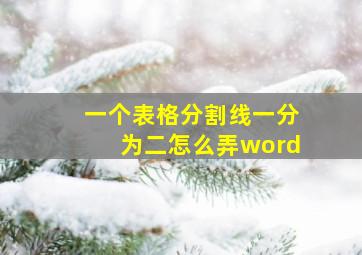 一个表格分割线一分为二怎么弄word