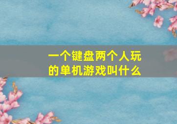 一个键盘两个人玩的单机游戏叫什么