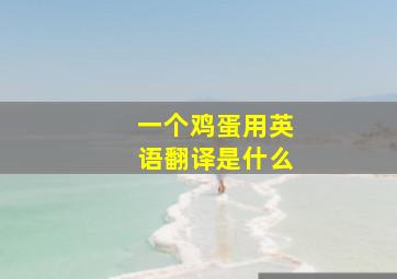 一个鸡蛋用英语翻译是什么