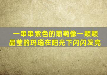 一串串紫色的葡萄像一颗颗晶莹的玛瑙在阳光下闪闪发亮