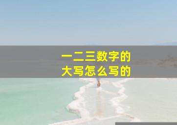 一二三数字的大写怎么写的