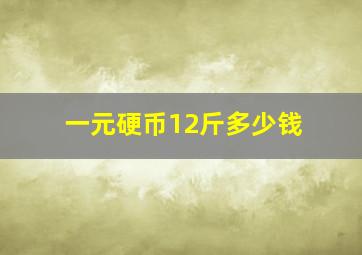 一元硬币12斤多少钱