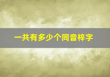 一共有多少个同音梓字