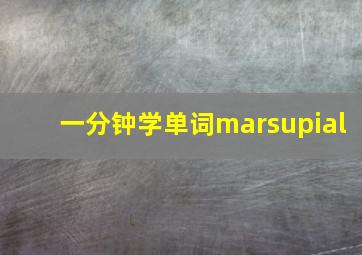 一分钟学单词marsupial