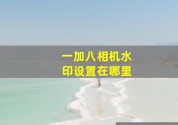 一加八相机水印设置在哪里