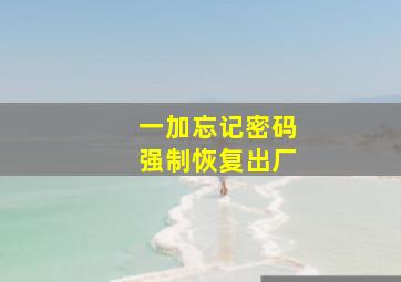 一加忘记密码强制恢复出厂