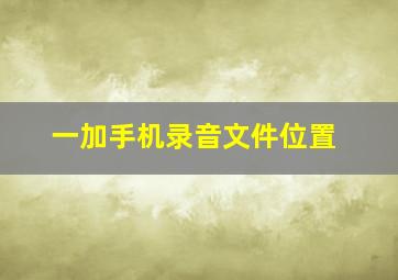 一加手机录音文件位置