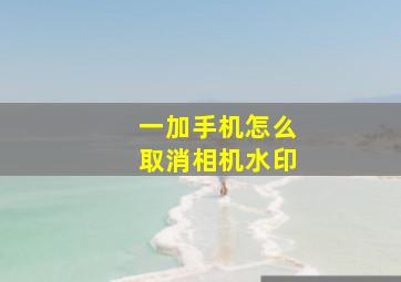 一加手机怎么取消相机水印