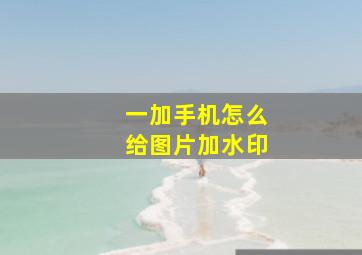 一加手机怎么给图片加水印