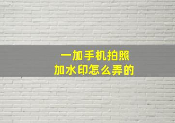 一加手机拍照加水印怎么弄的