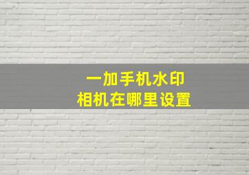 一加手机水印相机在哪里设置