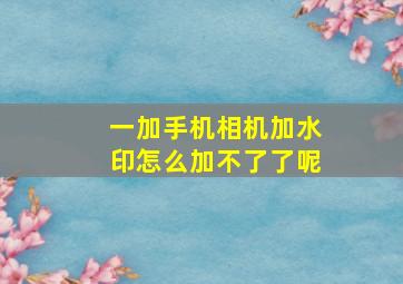 一加手机相机加水印怎么加不了了呢