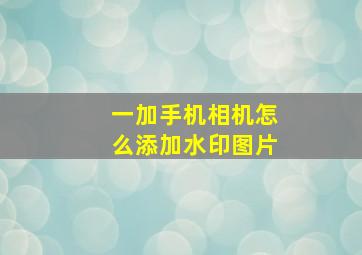 一加手机相机怎么添加水印图片