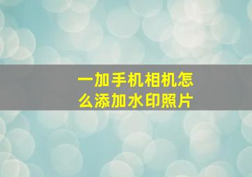 一加手机相机怎么添加水印照片