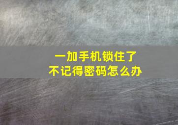 一加手机锁住了不记得密码怎么办