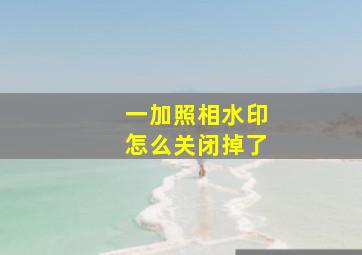 一加照相水印怎么关闭掉了