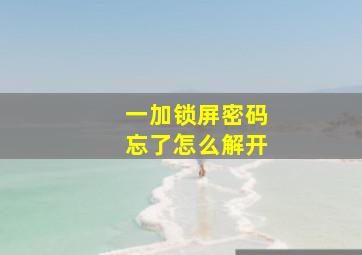 一加锁屏密码忘了怎么解开