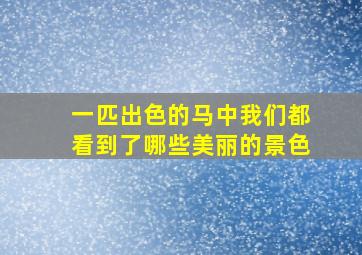 一匹出色的马中我们都看到了哪些美丽的景色