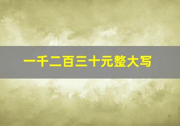 一千二百三十元整大写