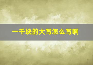 一千块的大写怎么写啊