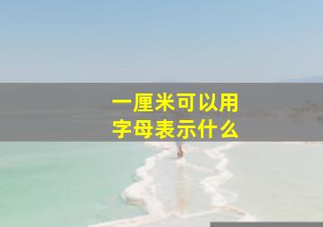 一厘米可以用字母表示什么