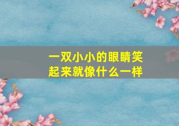 一双小小的眼睛笑起来就像什么一样