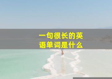 一句很长的英语单词是什么