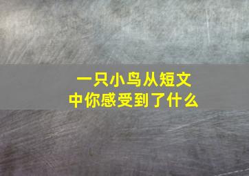 一只小鸟从短文中你感受到了什么