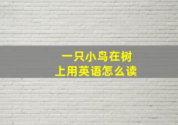 一只小鸟在树上用英语怎么读