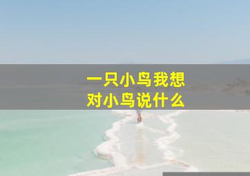 一只小鸟我想对小鸟说什么