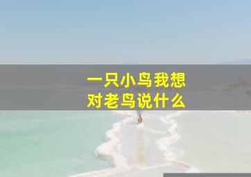 一只小鸟我想对老鸟说什么