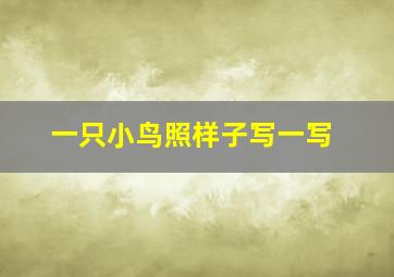 一只小鸟照样子写一写