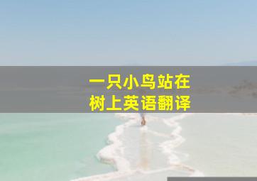 一只小鸟站在树上英语翻译