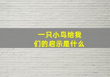 一只小鸟给我们的启示是什么