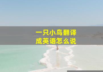 一只小鸟翻译成英语怎么说