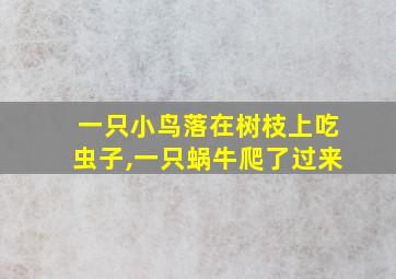 一只小鸟落在树枝上吃虫子,一只蜗牛爬了过来