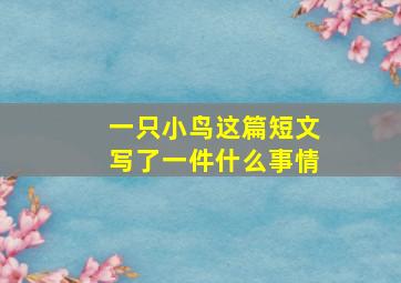 一只小鸟这篇短文写了一件什么事情