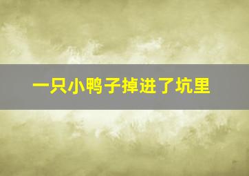 一只小鸭子掉进了坑里