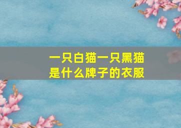 一只白猫一只黑猫是什么牌子的衣服