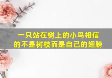 一只站在树上的小鸟相信的不是树枝而是自己的翅膀