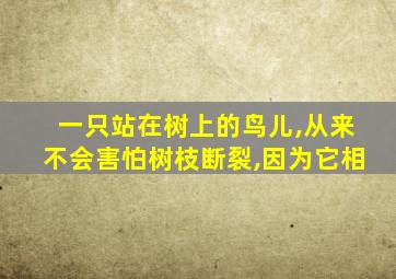 一只站在树上的鸟儿,从来不会害怕树枝断裂,因为它相